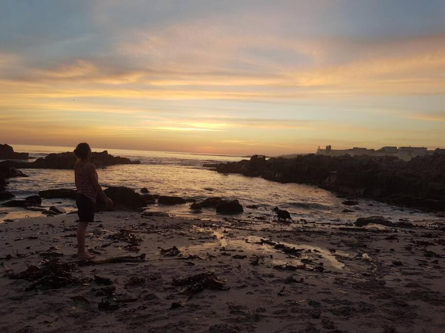 Mountain And Sea Cottage Hermanus Luaran gambar